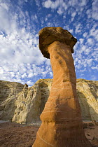 Toadstool Hoodoo in the Grandstaircase-Escalante National Monument, Utah, USA