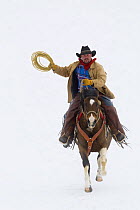 Cowboy with lariat riding through winter snow, Shell, Wyoming, USA, Model released