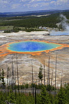 Aerial view of the Grand Prismatic Spring in Midway Geyser Basin, Yellowstone National Park, Wyoming, USA
