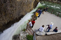 People admiring scenery at Brink of the Lower Falls Trail and viewpoint, Grand Canyon of the Yellowstone river, Yellowstone National Park, Wyoming, USA