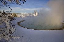 Blue Funnel Spring, West Thumb Geyser Basin, Yellowstone Nationa Park, Wyoming, USA