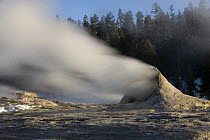 Giant Geyser in the Upper Geyser Basin of Yellowstone National Park, Wyoming, USA
