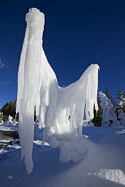 Ice and snow formations near thermal features in winter, Upper Geyser Basin, Yellowstone National Park, Wyoming,  USA