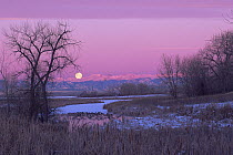 Moonset over Lake Ladona in winter, Rocky Mt Arsenal NWR, Colorado, USA,