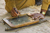Park warden recording a Benal tiger pugmark by tracing with ink on glass, the method still used by the Forestry Dept, Bandhavgarh NP, Madhya Pradesh, India, March 2008