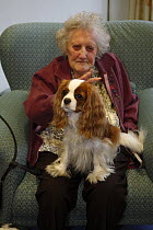 Elderly woman with Blenheim Cavalier King Charles Spaniel on her lap for pet therapy