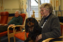 Elderly woman with Cavalier King Charles Spaniel as a form of pet therapy