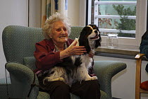 Elderly woman with Cavalier King Charles Spaniel on her lap as pet therapy