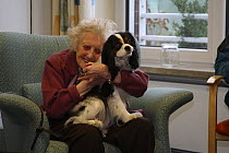 Elderly woman hugging a Cavalier King Charles Spaniel on her lap as pet therapy