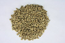 Coffee beans Bio Mexico Maragogype, raw (Coffea arabica)
