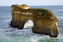 Sea rock/  stack arch near the 12 Apostles, South Australia, Australia