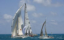 ICAP "Leopard 3" dwarfs the smaller yachts during Antigua Race Week 2008. Day 2, halfway round the Island Race, Dickenson Bay to Falmouth anti clockwise.