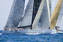 "Rambler" decides she wants the pin end and crosses the fleet on the start line during Antigua Race Week 2008. Day 3, windward leeward racing off Falmouth.