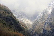Mountain and forest landscape near Wolong Nature Reserve, Sichuan, China, habitat of the giant panda