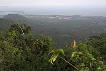 General view towards Vietnamese border, Preah Monivong Bokor National Park, south-western Cambodia (formerly Kampuchea)