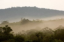 Mist over rainforest canopy, Preah Monivong Bokor National Park,  south-western Cambodia (formerly Kampuchea)
