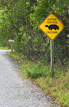 Gopher Tortoise Crossing warning sign, Sanibel, Florida, USA
