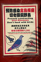 Bird flu poster telling people not to feed wild birds, Hong Kong, China, 2008