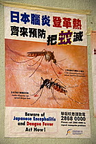 Poster warning of the dangers of Dengue Fever and Japanese Encephalitis transmitted by mosquito, Hong Kong, China