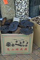 Bracket Fungi (Ganoderma) for sale in Chinese herbal medicine shop, Hong Kong, China