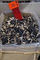 Dried Lichen for sale in Chinese herbal medicine shop, Hong Kong, China