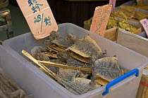 Dried Lizards in Chinese herbal medicine shop, Hong Kong, China