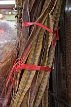 Dried snake skins for sale in Herbal Medicine Market, Hong Kong, China