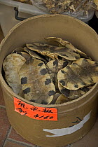 Turtle shells for sale in Chinese Herbal Medicine market, Hong Kong, China