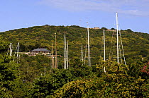 SY "Adele", 180 foot Hoek Design, moored at Nelson's Dockyard, Antigua, January 2006. Masts visible above vegetation