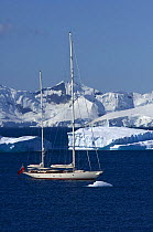 SY "Adele", 180 foot Hoek Design, motoring past icebergs at Portal Point, Reclus Peninsula, Antarctica, January 2007  Non editorial uses must be cleared individually.