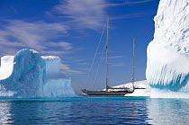 SY ^Adele^, 180 foot Hoek Design, motoring past icebergs in Wilhelmina Bay, Antarctica, January 2007~ Non editorial uses must be cleared individually.