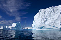 SY "Adele", 180 foot Hoek Design, motoring past icebergs in Wilhelmina Bay, Antarctica, January 2007