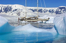 SY "Adele", 180 foot Hoek Design, motoring through the brash ice in Wilhelmina Bay, Antarctica, January 2007 Non editorial uses must be cleared individually.