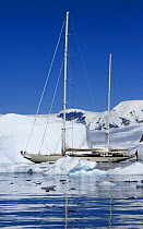 SY ^Adele^, 180 foot Hoek Design, motoring through the brash ice in Wilhelmina Bay, Antarctica, January 2007 Non editorial uses must be cleared individually.