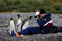 The owner of SY "Adele", Jan-Eric Osterlund, takes photos of curious king penguins (Aptenodytes patagonicus) on the shoreline near Grytviken, South Georgia, February 2007