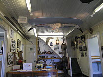Inside Grytviken Museum, South Georgia, February 2007