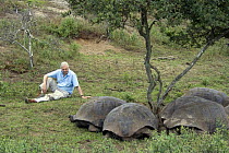 Sir David Attenborough sitting with group of Giant Tortoises (Geochelone elephantopus) Galapagos. Filmed for BBC television series "Life in Cold Blood", May 2006