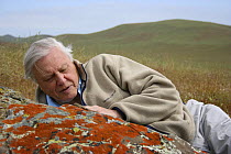 Sir David Attenborough with side blotched lizard (Uta stansburiana) on rock, Santa Nella, California, USA. For BBC television series "Life in Cold Blood", April 2006