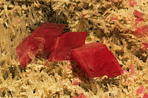 Rhodochrosite (Manganese carbonate mineral) on quartz crystal, Argentina