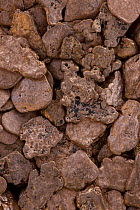 Close-up of Native Copper Nuggets from Michigan, USA