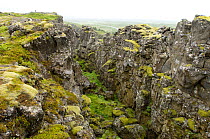 Fault line between America and Europe at Pingvellir, the first parliament place in the world. Pingvellir National Park, Iceland
