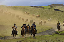 Icelandic horses and riders, riding near Landmannalaugar, Iceland