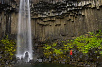 Person looking up at Svartifoss waterfall and basalt rock columns in Skaftafell National Park, Iceland