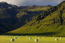 Hay bales wrapped up in fields near Vik, South Iceland