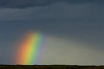 Rainbow and rain clouds on the south coast of Iceland