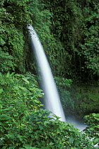 La Paz waterfall, Costa Rica