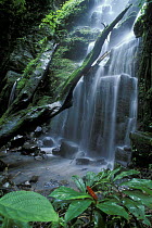 Waterfall during the rainy season, Rincon de la Vieja NP, Costa Rica