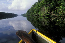 View of river from boat, Tortuguero NP, Costa Rica