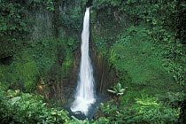 Waterfall in rainforest, Bajos del Toro, Costa Rica