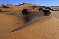 Sand dunes in the Namib-Naukluft NP, Namib desert, Namibia